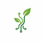 Beanstalk AI logo